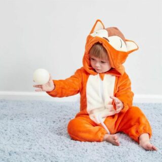 Polaire bébé polaire renard