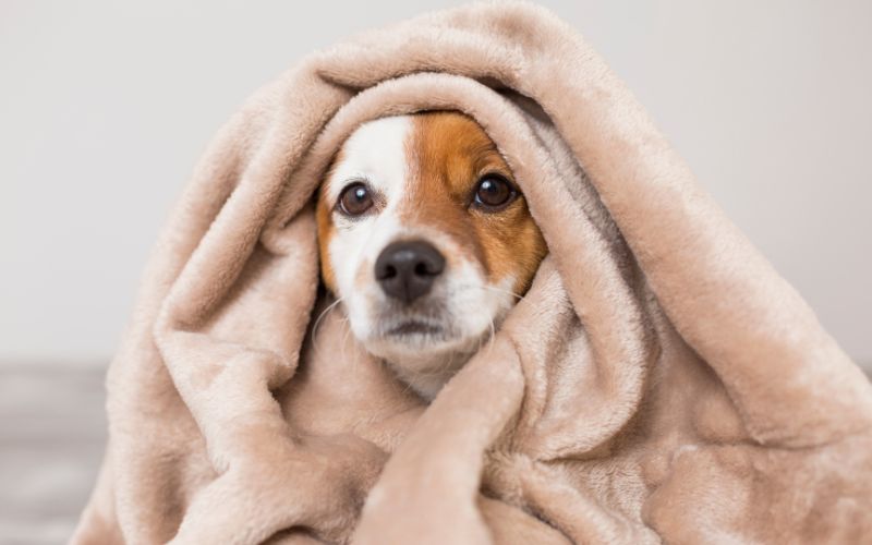 Polaire ou apolaire comment savoir ? Polaire ou apolaire comment savoir ? Uncategorized polaire apolaire comment savoir8